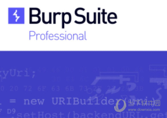 Burp Suite2022破解版