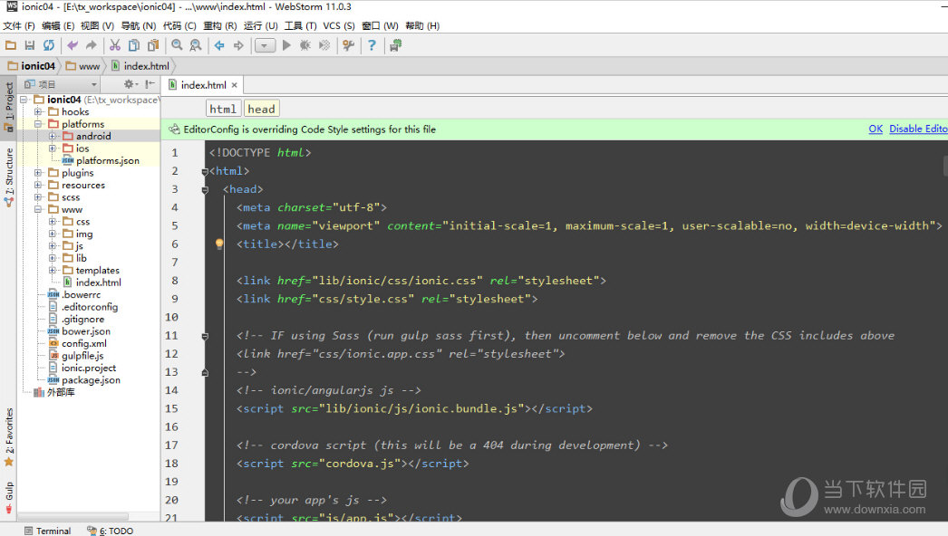 WebStorm11