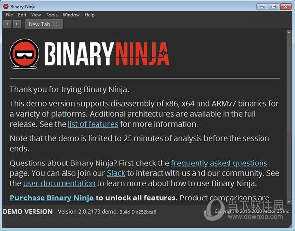 Binary Ninja