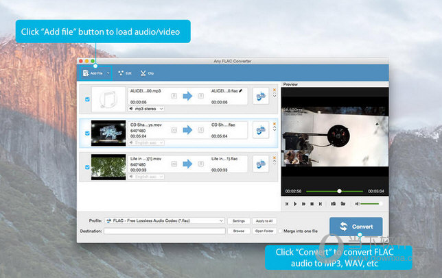 Any FLAC Converter MAC版