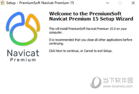 Navicat Premium15破解补丁