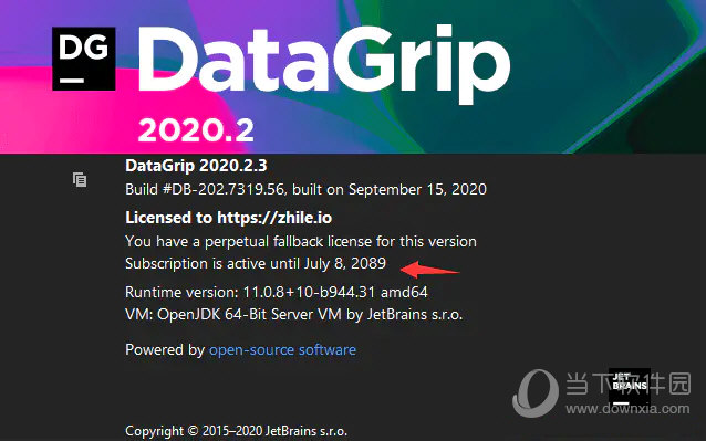 jetbrains datagrip 2020.2.3破解版