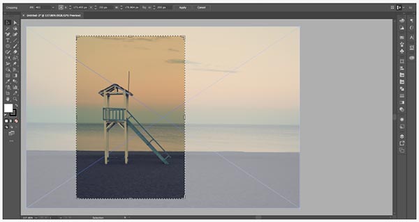 Adobe illustrator CC2019 免费激活版