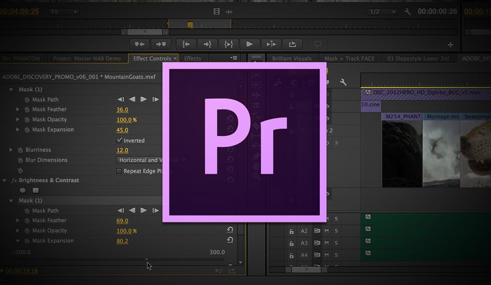 Adobe Premiere pro 2.0【Premiere2.0】P2.0简体中文破解版