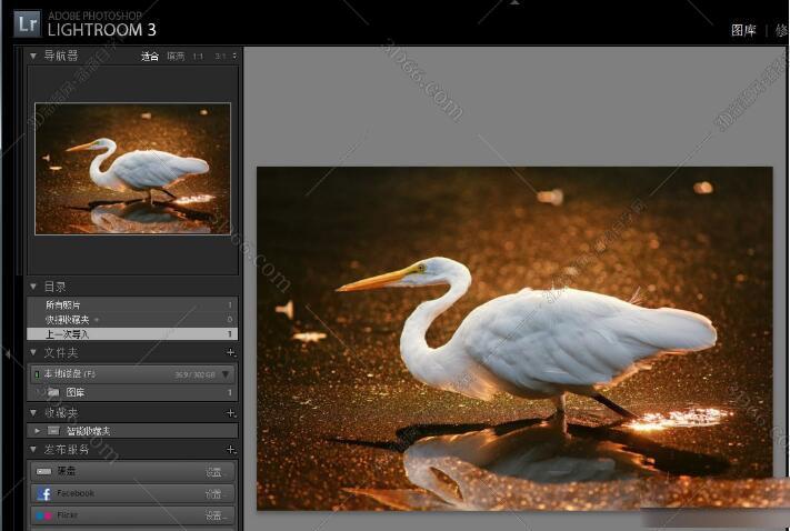 Lightroom3.6【Adobe Lightroom 3.6】简体中文绿色破解版