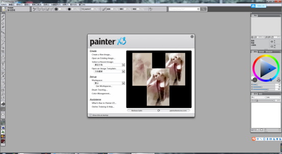 Corel Painter X3【Painter X3中文版】中文破解版