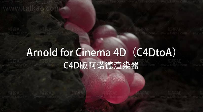 C4D阿诺德渲染器Arnold SolidAngle C4DtoA 4.2.4 R21/R22/R23/R24/R25/R26破解版下载