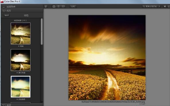 PhotoShop ColorEfexPro4-pl-ver4.005all插件中文破解版【PS ColorEfexPro4】