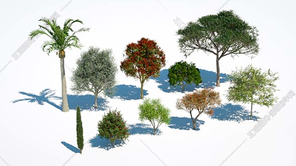 树木插件Plants Kit 4 v1.0.25 For C4D/Max/Maya/Sk/Houdini