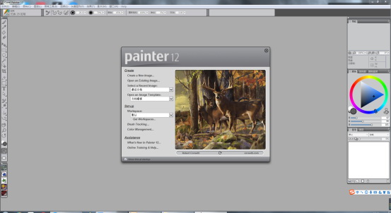 Corel Painter 12破解版【Painter 12中文版】中文版