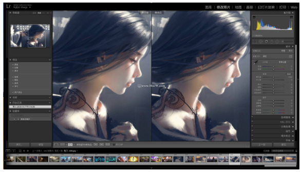 Adobe Lightroom CC 2021 for mac v10汉化版