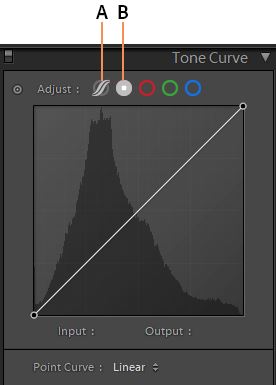 Adobe Lightroom 2021中文破解绿色版