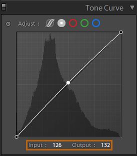 Adobe Lightroom 2021中文破解绿色版