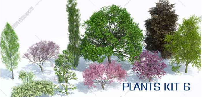 植物树木生成插件Laubwerk Plants Kit 6 For 3DsMax/Maya/C4D