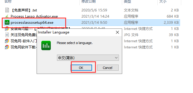 Process Lasso安装教程步骤