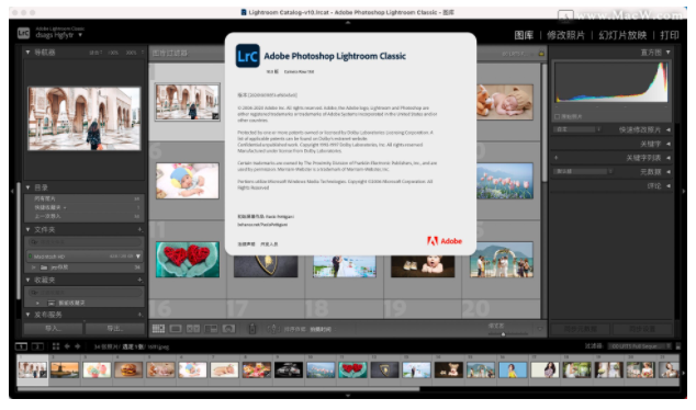 Adobe Lightroom 2021破解绿色版