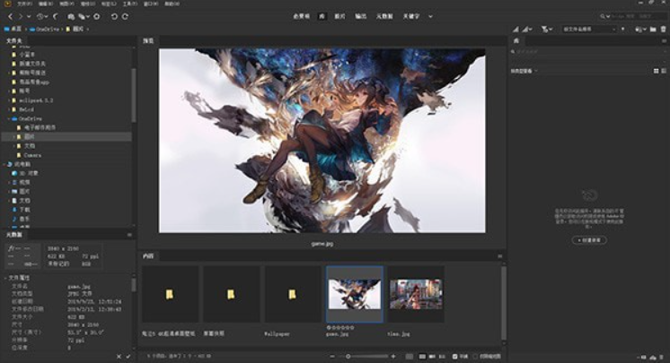 Adobe Bridge CC2021【Br cc2021破解版】绿色免费版