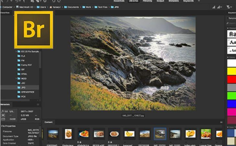 Adobe Bridge CC2021【Br cc2021破解版】绿色免费版