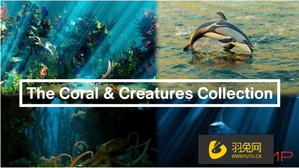 【Blender插件】Blender海洋珊瑚动植物模型预设 The Coral & Creatures Collection V1.0