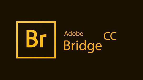 Adobe Bridge CC2022【Br资源管理软件】免激活破解版下载