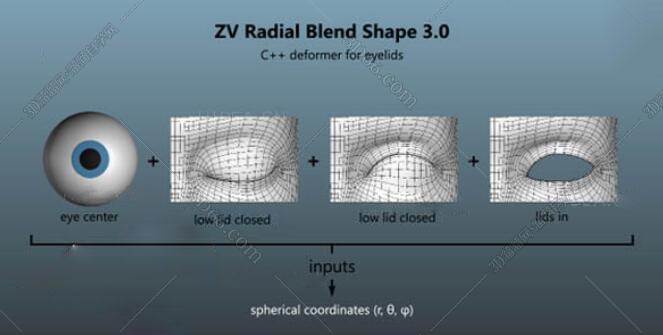 Maya面部动画混合形状插件：ZV Radial Blend Shape v3.0.1