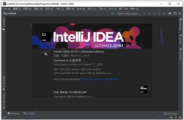 IntelliJ IDEA 2019.3.3【Java编程工具】绿色中文版免费下载