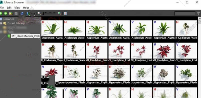 162款不同花色3DMax植物模型库Plant+Asset Lists Plugin Vol.8