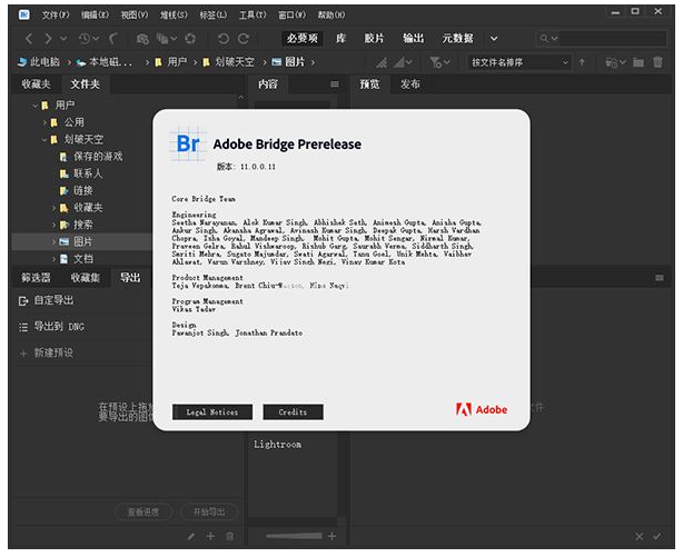 Adobe Bridge CC2021 Mac免费中文版