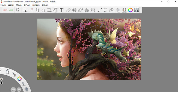 Autodesk Sketchbook 8【画图工具附安装教程】免费破解版