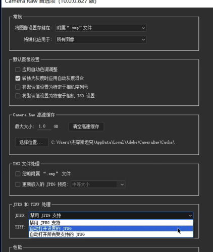 ACR·Adobe Camera Raw滤镜【PS画图插件】