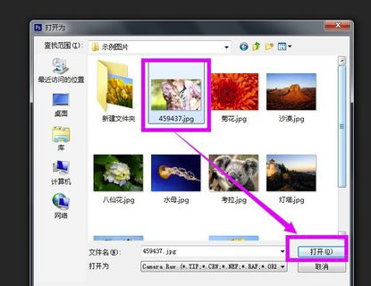 ACR·Adobe Camera Raw滤镜【PS画图插件】