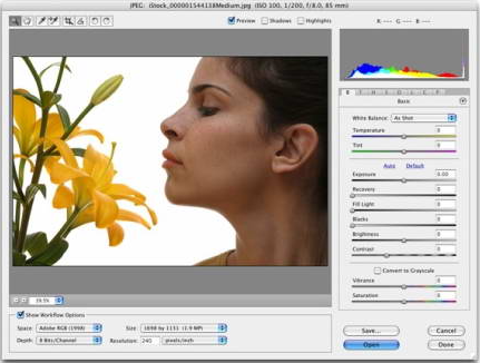 Adobe CameraRaw 13.3【Photoshop增效工具插件】绿色版下载