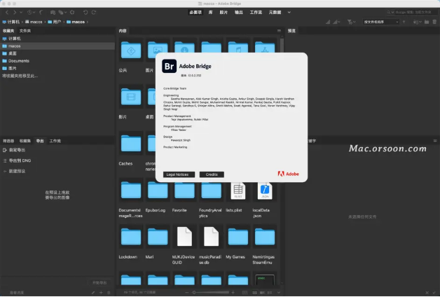 Adobe Bridge 2022 For Mac版【支持M1芯片】中文破解版下载