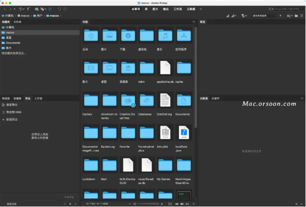 Adobe Bridge 2022 For Mac版【支持M1芯片】中文破解版下载