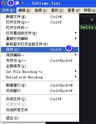 Sublime Text 3.3176 中文版