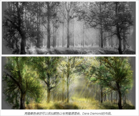 Corel Painter 2021【Painter 2021专业版】中文破解版