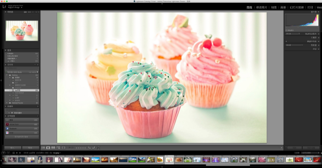 Adobe Lightroom CC 2020 for mac v9中文破解版