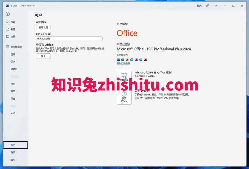 Microsoft Office 2024专业增强版官方版下载 Office2024安装教程-1