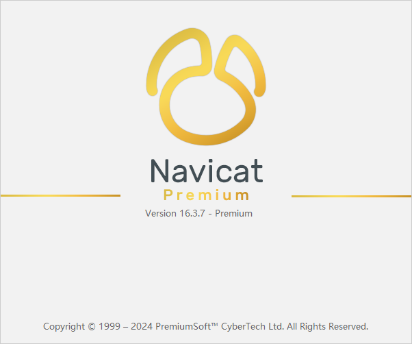 Navicat Premium 16.3.7免费版下载 安装教程-14